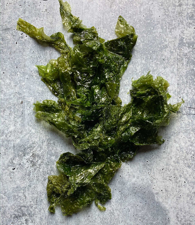Best Diver Caught Salted Sea Lettuce 1 Kilo photos by Regalis Foods - item 2