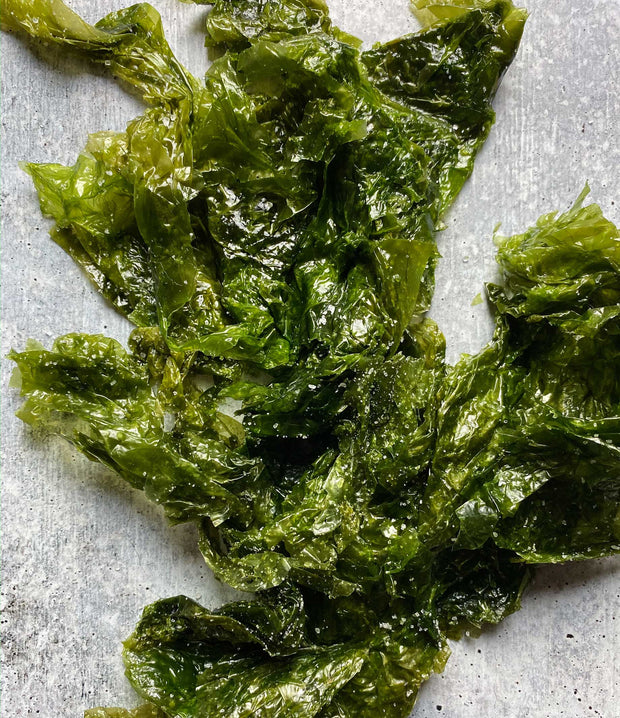 Best Diver Caught Salted Sea Lettuce 1 Kilo photos by Regalis Foods - item 3
