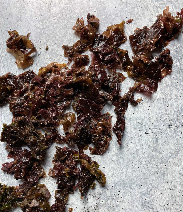 Best Diver Caught Salted Dulse 1 Kilo photos by Regalis Foods - item 2