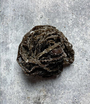Diver Caught Salted Sea Spaghetti (1 kg)