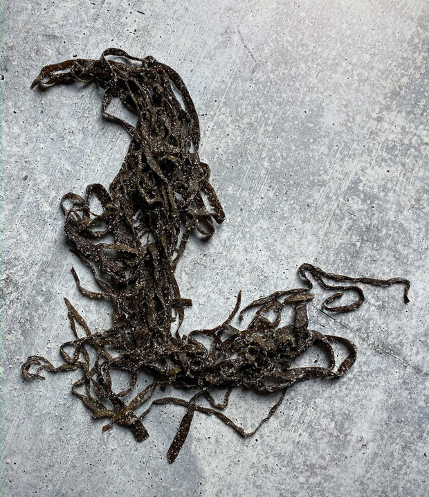Best Diver Caught Salted Sea Spaghetti (1 kg) photos by Regalis Foods - item 7