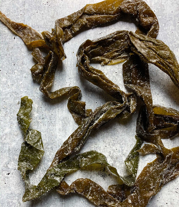 Diver Caught Salted Kombu (1 kg) - Buy at Regalis Foods