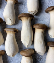 King Oyster Mushrooms