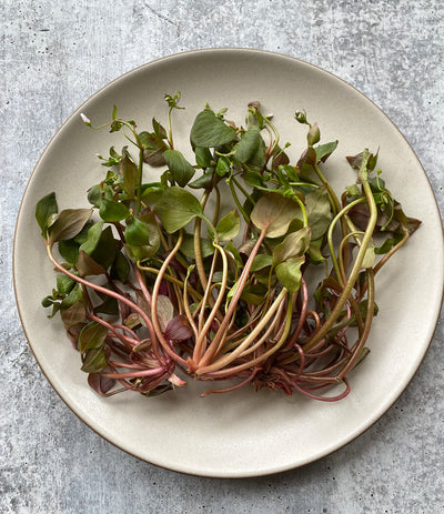 Best Flowering Claytonia (Miner's Lettuce) photos by Regalis Foods - item 1