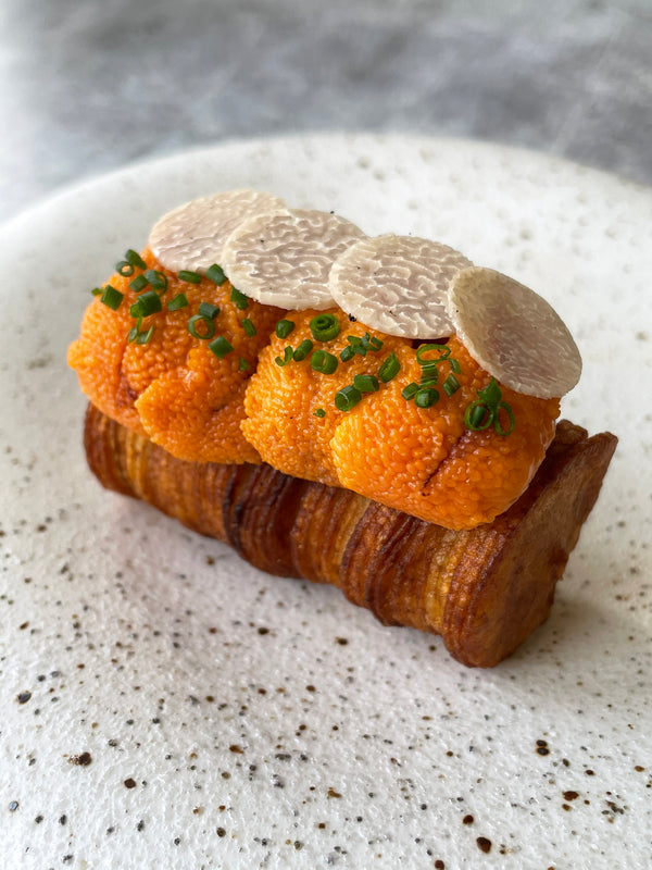 Maine Bafun Select Uni Tray