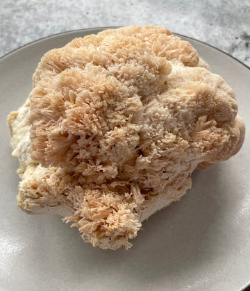 Best Lion's Mane Mushrooms photos by Regalis Foods - item 1