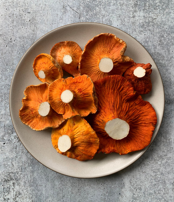 Lobster Mushrooms