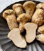 Wild Matsutake (Pine Mushrooms)