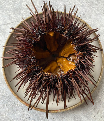 Best Diver Caught Live Sea Urchin photos by Regalis Foods - item 1