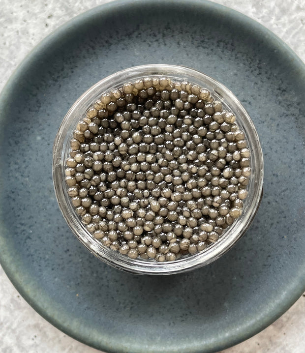 Best Persian Sevruga Caviar photos by Regalis Foods - item 1