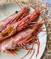 Live California Spot Prawns (Botan Ebi)