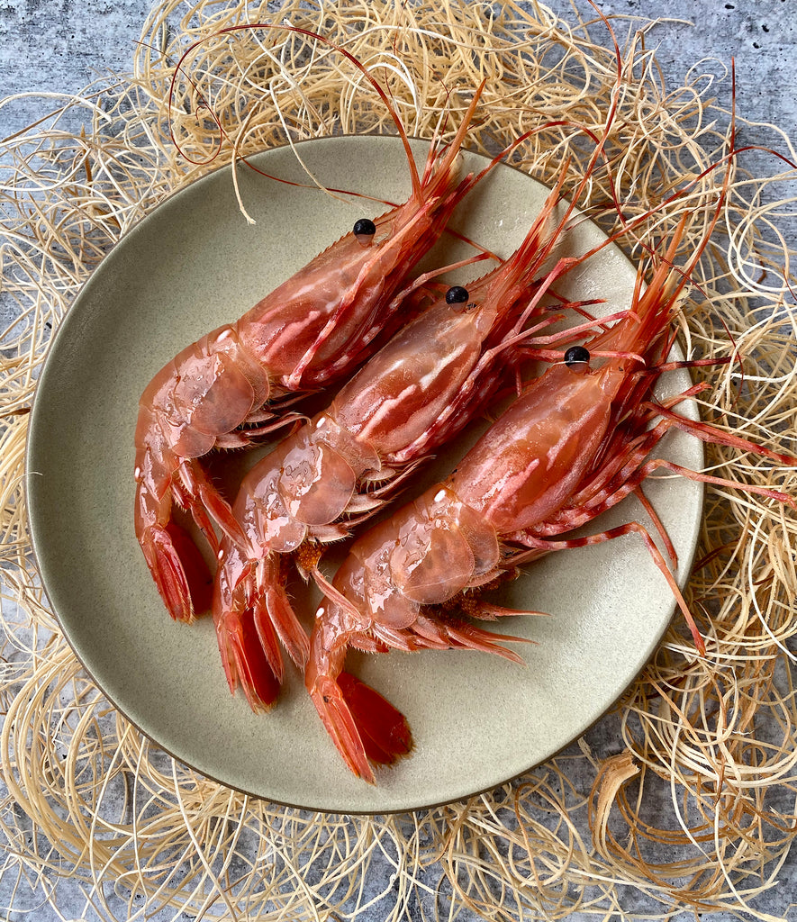 Live California Spot Prawns (Botan Ebi) - Buy at Regalis Foods
