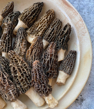 Best Himalayan "Gucchi" Black Morels photos by Regalis Foods - item 1