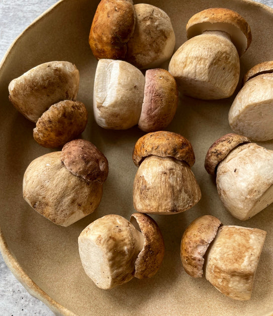 California Sierra Porcini Buy at Regalis Foods