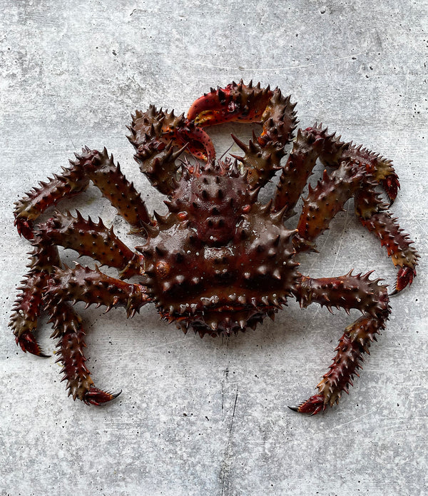 Hanasaki Crab from Toyosu Market