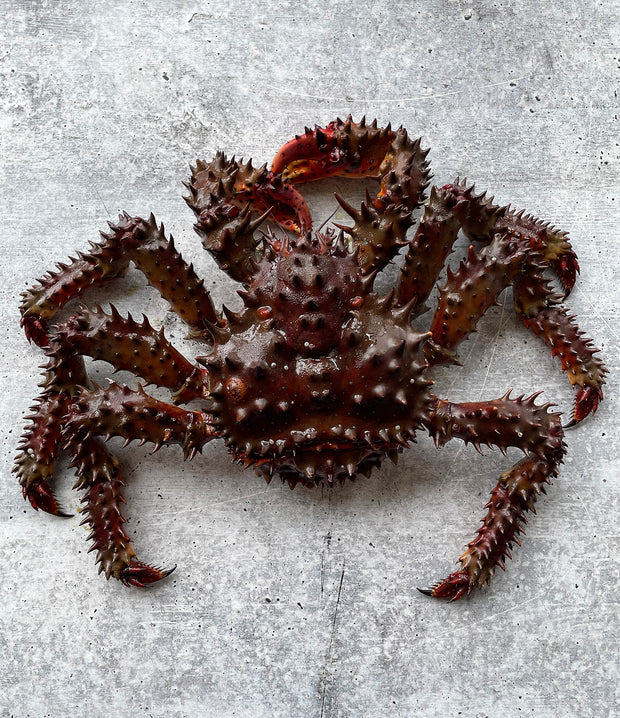 Best Hanasaki Crab from Toyosu Market photos by Regalis Foods - item 2