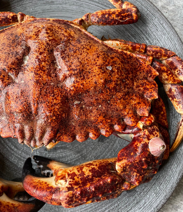 Best Live Rock Crab, 1.5lb avg (10 lb average case) photos by Regalis Foods - item 1