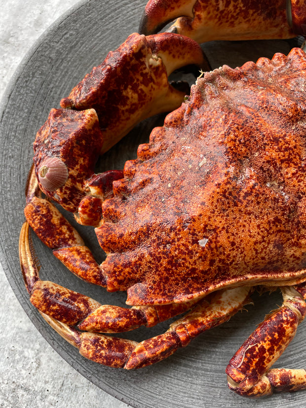 Best Live Rock Crab, 1.5lb avg (10 lb average case) photos by Regalis Foods - item 2