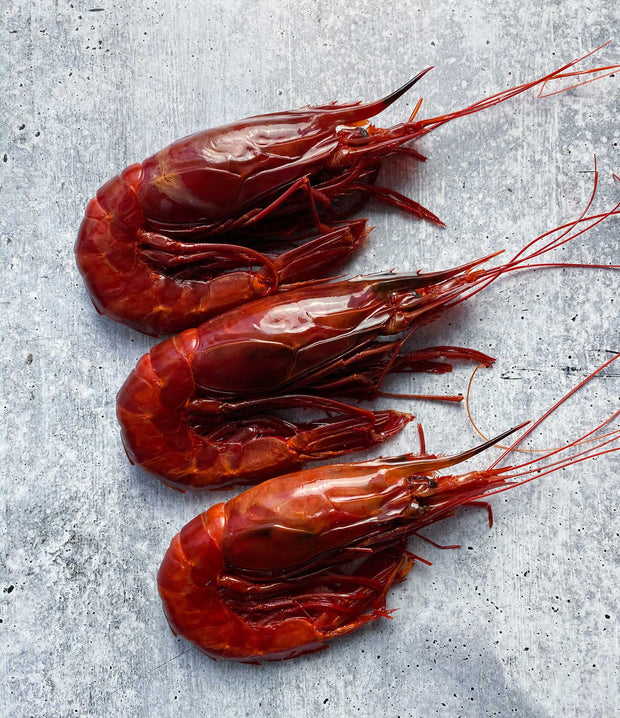 Best Red Carabinero Prawns - 2.2 lbs (1 kg) photos by Regalis Foods - item 2