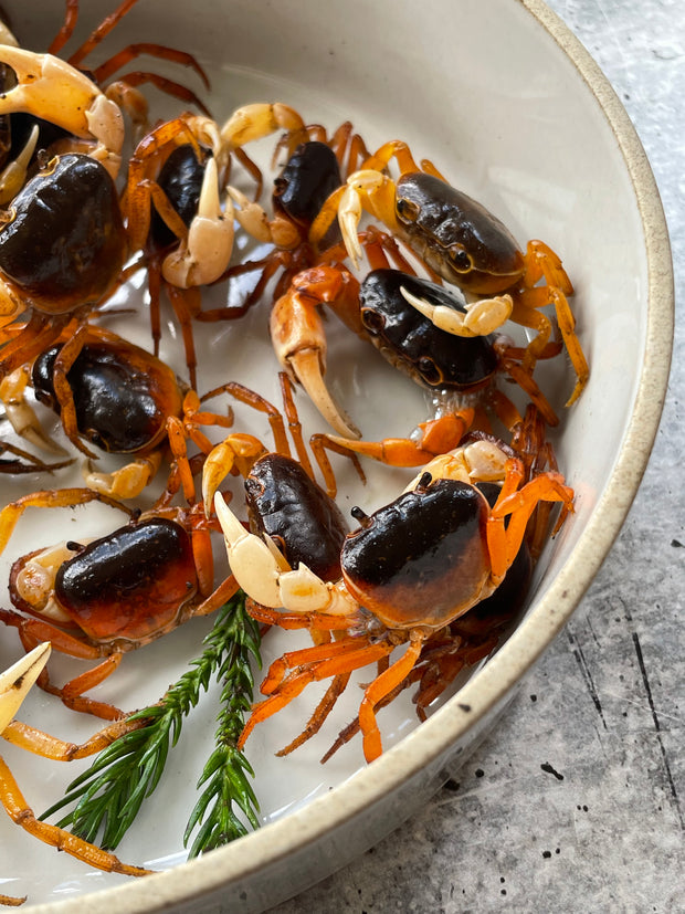 Best Sawagani (Japanese Soft-shell Freshwater Crabs), 250g photos by Regalis Foods - item 6