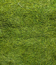 Badasoop Roasted Gamtae Seaweed, Unseasoned