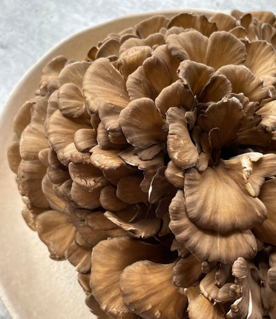 Best Black Maitake photos by Regalis Foods - item 1