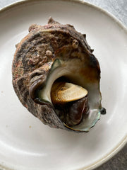 Sazae Horned Turban Shell Snails from Toyosu Market