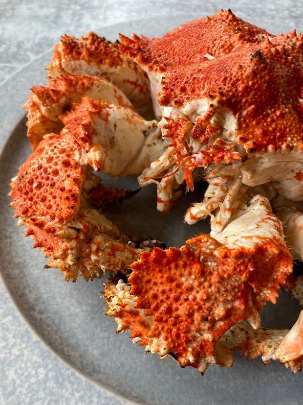 Best Live Box Crab, 2 lb avg (10 lb average case) photos by Regalis Foods - item 2