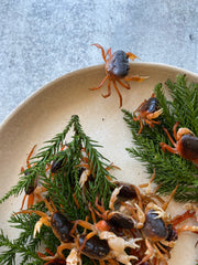 Sawagani (Japanese Soft-shell Freshwater Crabs), 250g