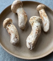 Wild Matsutake (Pine Mushrooms)