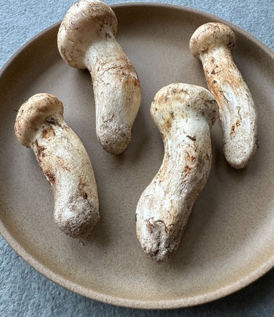 Best Wild Matsutake (Pine Mushrooms) photos by Regalis Foods - item 1