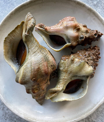 Best California Whelk (1 lb) photos by Regalis Foods - item 1