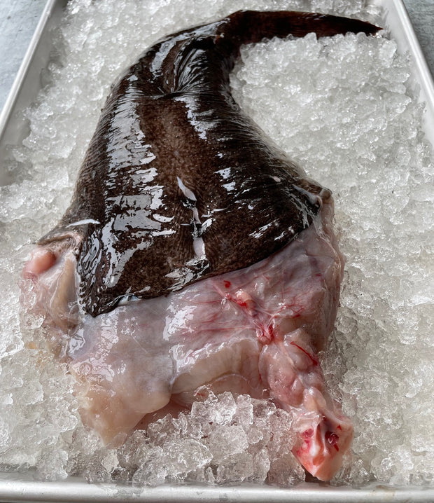 Best Maine Monkfish Tails (5 - 7 lbs) photos by Regalis Foods - item 1