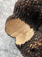Italian Summer Black Truffles