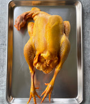 Pennsylvania Golden Chicken