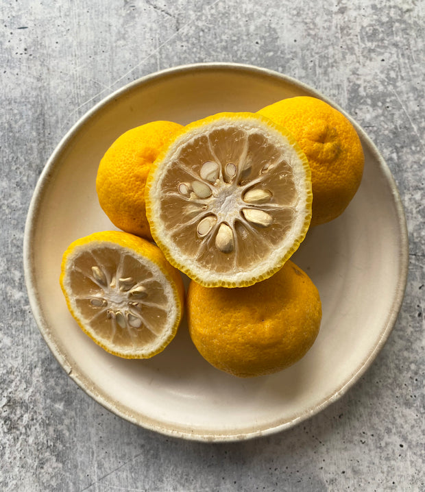 Best Fresh Yellow Yuzu photos by Regalis Foods - item 1