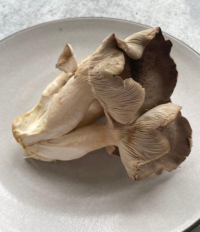 Best Black Pearl Oyster Mushrooms, 1# photos by Regalis Foods - item 1