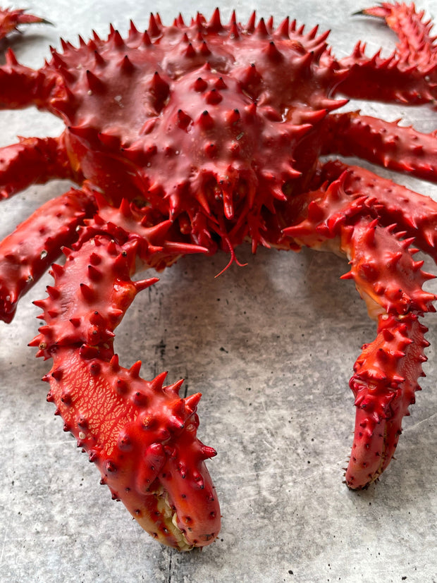 Best Hanasaki Crab from Toyosu Market photos by Regalis Foods - item 5