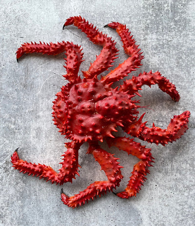 Best Hanasaki Crab from Toyosu Market photos by Regalis Foods - item 1