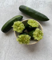 Emerald Green Finger Limes