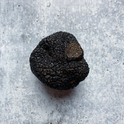 Nitrogen Frozen Winter Black Périgord Truffles