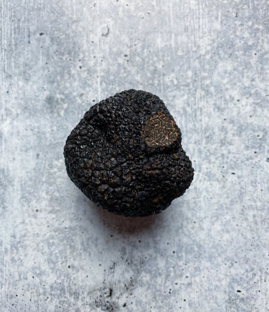 Nitrogen Frozen Winter Black Périgord Truffles