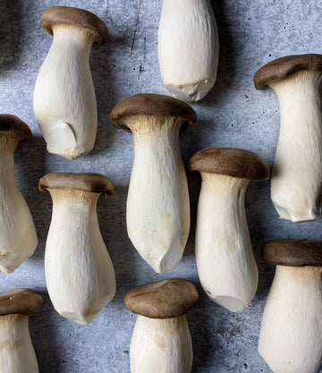 Best King Oyster Mushrooms photos by Regalis Foods - item 1