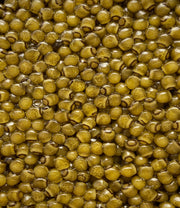 Large Grain Golden Kaluga Caviar