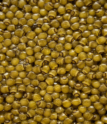 Best Large Grain Golden Kaluga Caviar photos by Regalis Foods - item 1