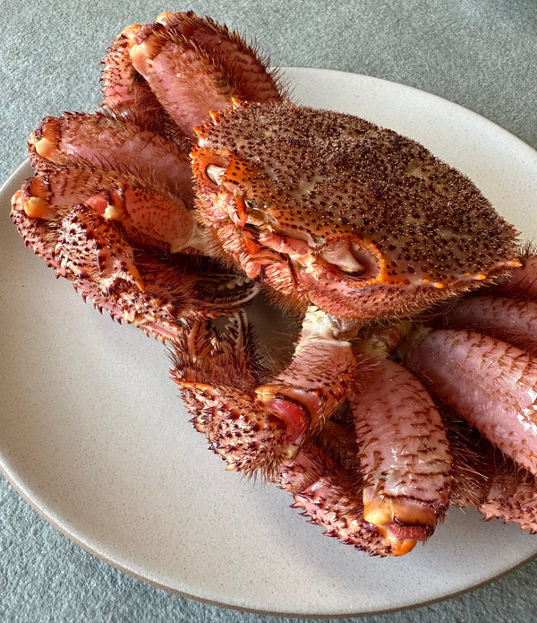 Kegani けがに (Hokkaido Hairy Crab)