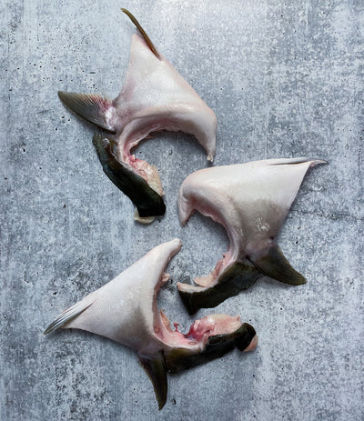 Best Japanese Yellowtail Collars - Hamachi Kama, 1kg photos by Regalis Foods - item 1