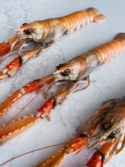 XXL Super-Frozen Norwegian Scampi (Langoustine), 1kg tray