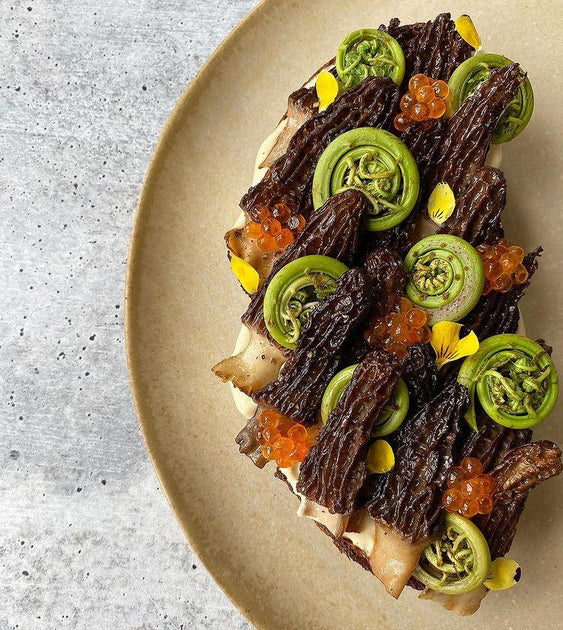 Wild Pacific Northwest Morels Buy at Regalis Foods