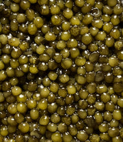 Amber Kaluga Caviar